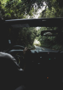 photo-1513113406068-fff36fa8f987 3