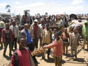 Etiopia-40 3
